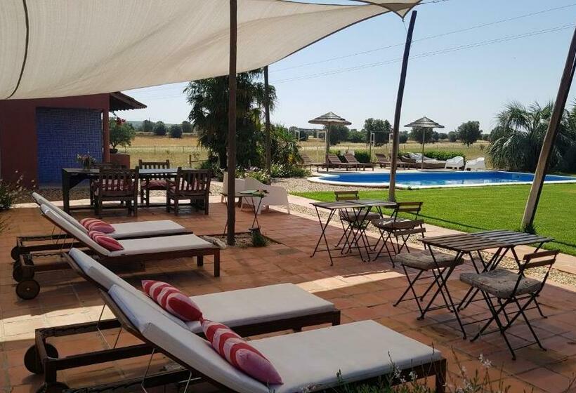 تختخواب و صبحانه Quinta Dos Doze Sobreiros   Quarto Sol