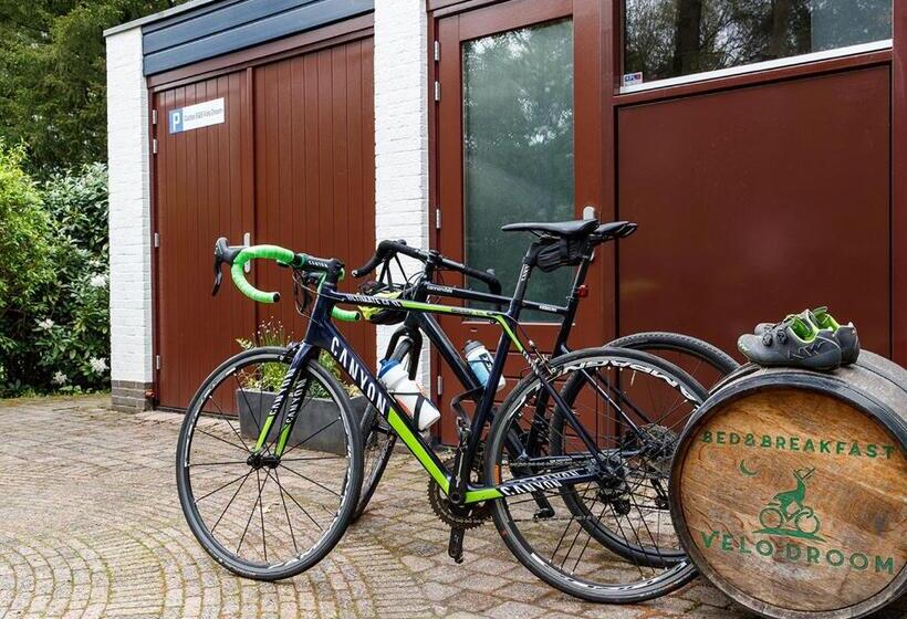 ベッドアンドブレックファースト Velo Droom