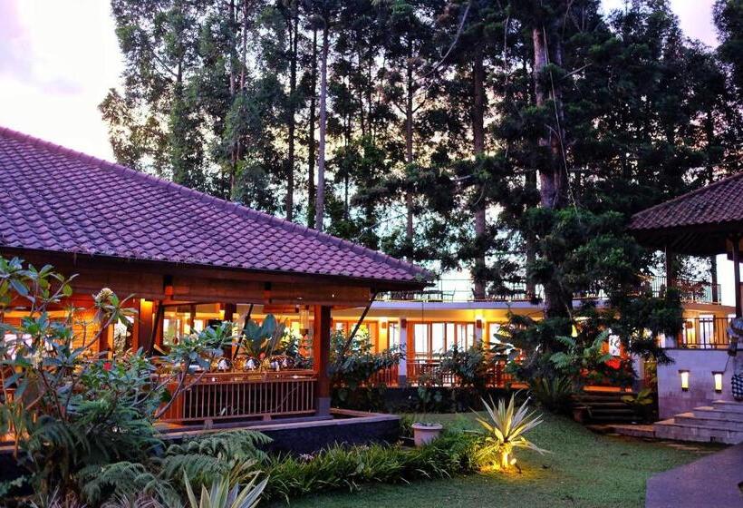 酒店 The Grand Hill Resort