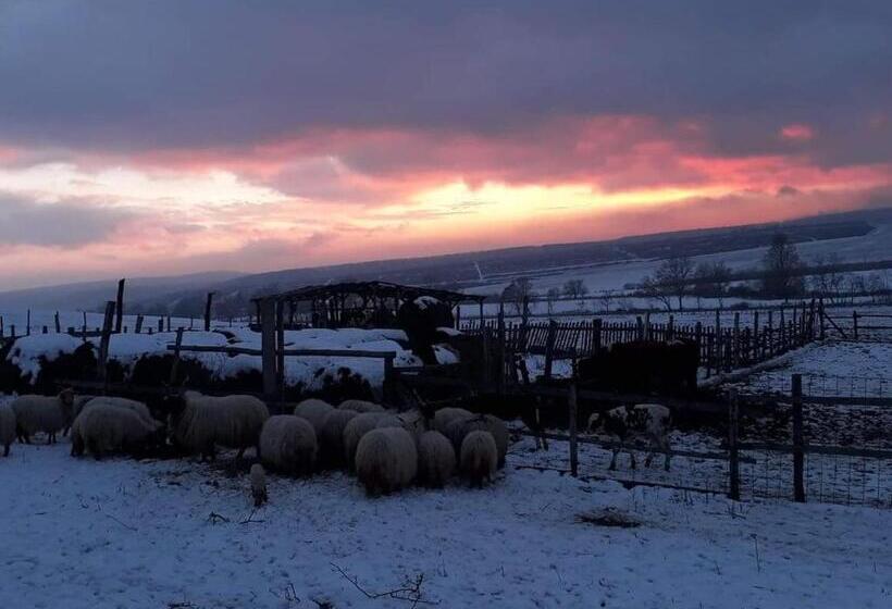 פנסיון Dósa Tanya, Vendégház