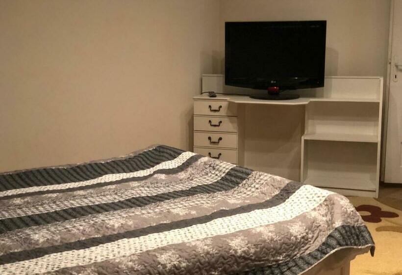 Pensiunea Casa Teo