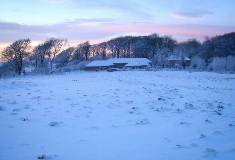 Top Parts Bed & Breakfast