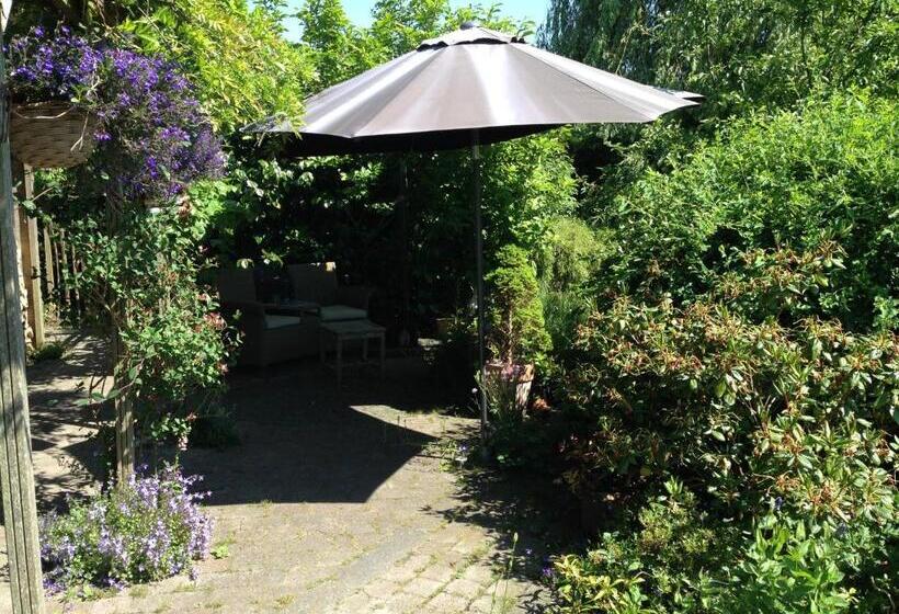 B&b De Koraal