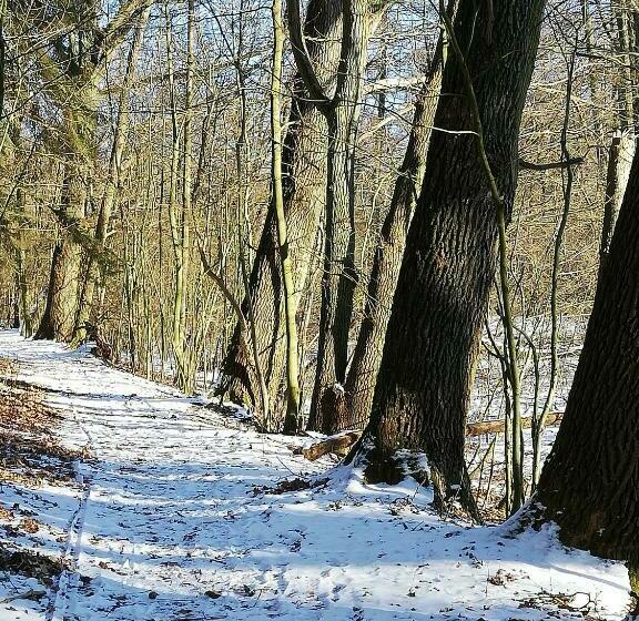 צימר Zur Alten Eiche