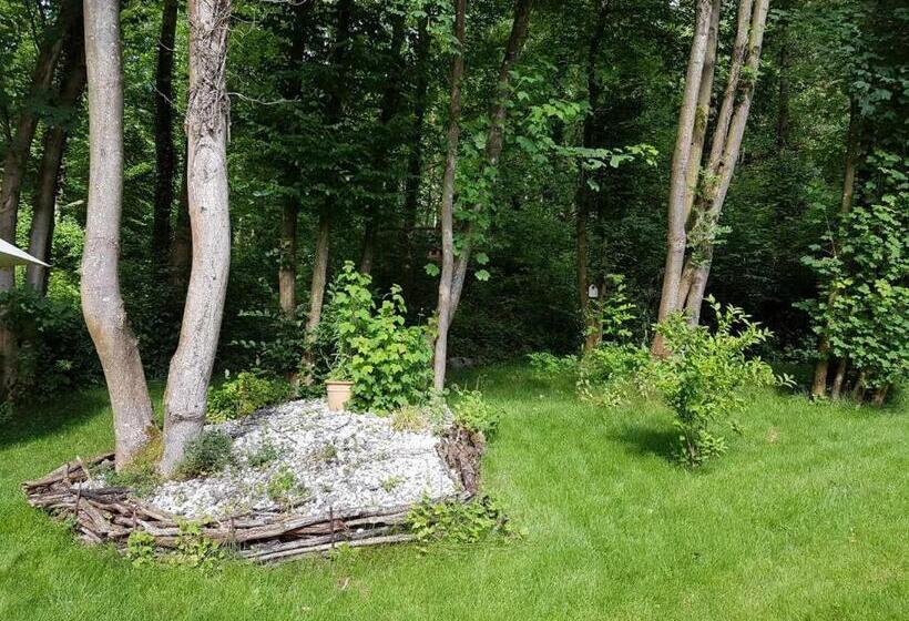 פנסיון Panamá Selva Backpacker