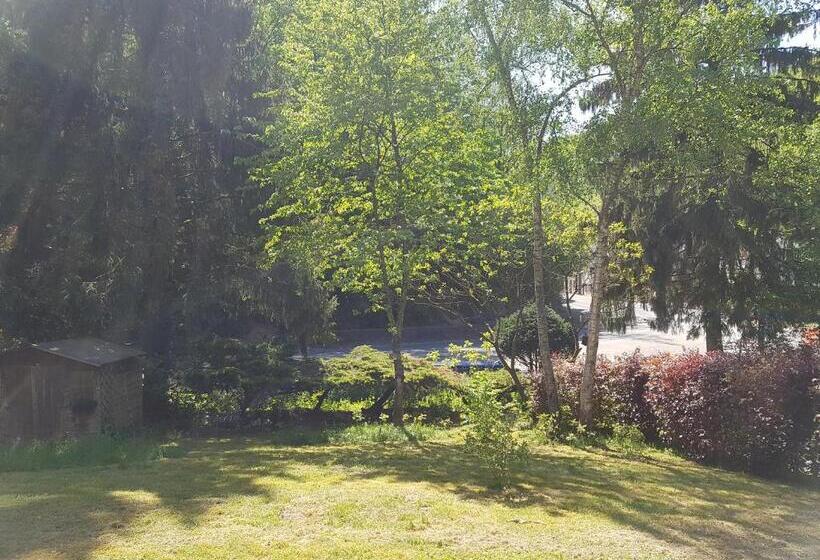 פנסיון Panamá Selva Backpacker