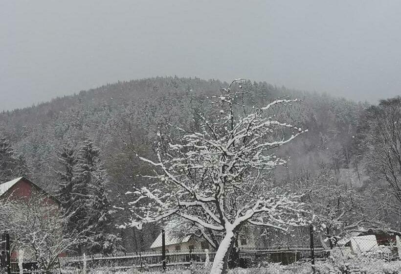ペンション Ubytovaní Vila Pramínek