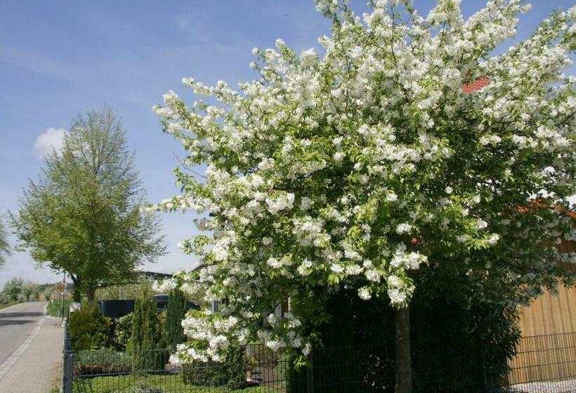 旅馆 Waldvogel Ferienzimmer Klimatisiert