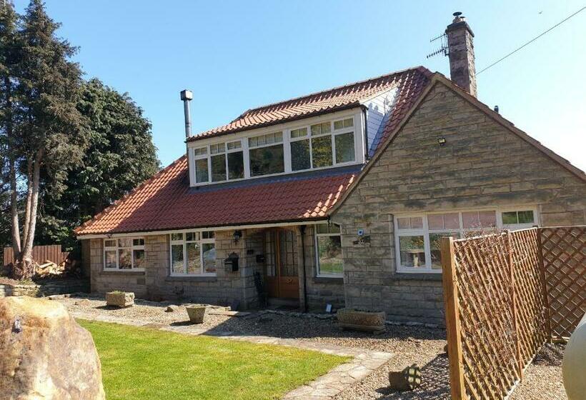 Aldebaran B&b