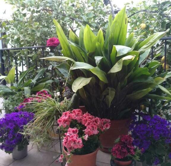 צימר El Patio Andalú