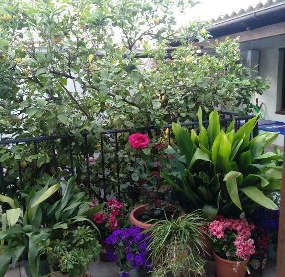 צימר El Patio Andalú