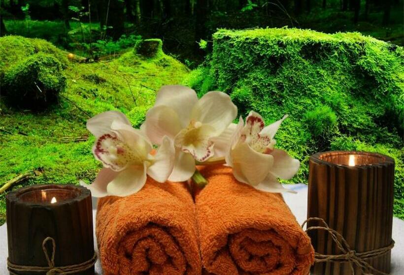 مبيت وإفطار La Louisiane 31