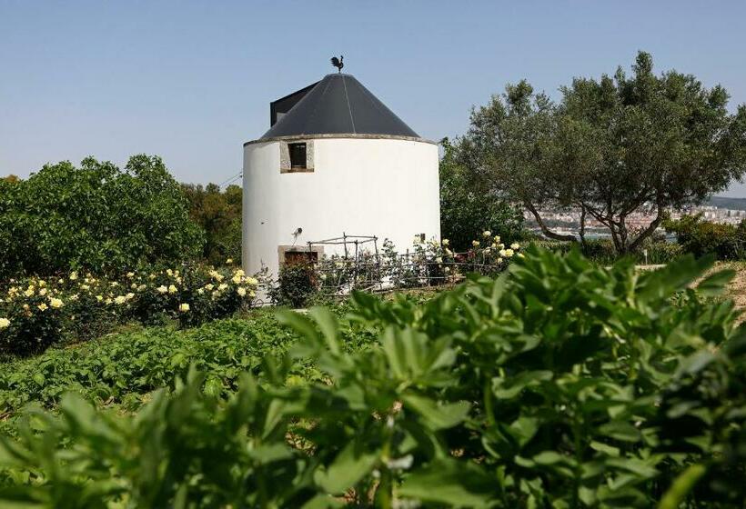 تختخواب و صبحانه Olá Belém! Cozy Windmill, Stunning Views To Lisboa