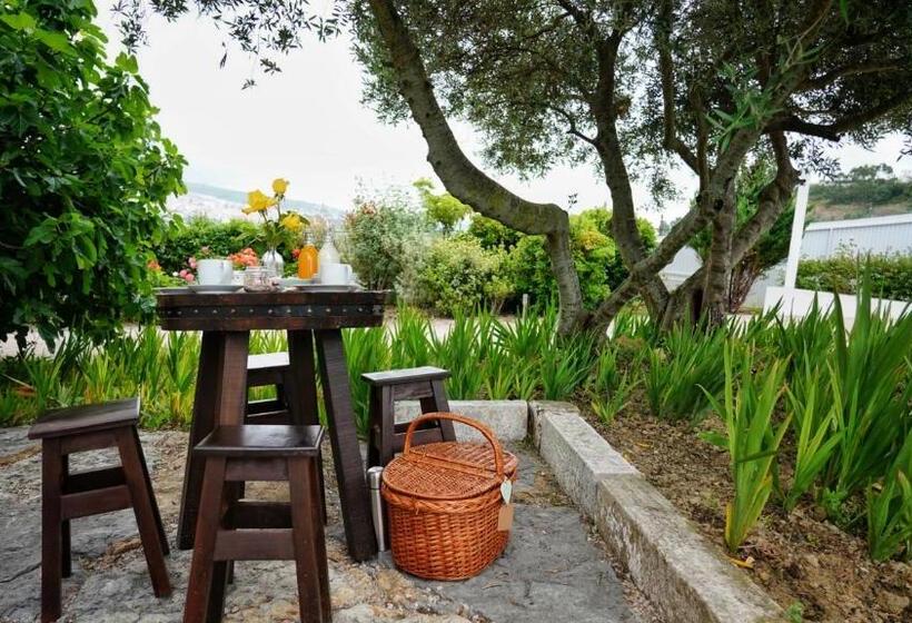 تختخواب و صبحانه Olá Belém! Cozy Windmill, Stunning Views To Lisboa