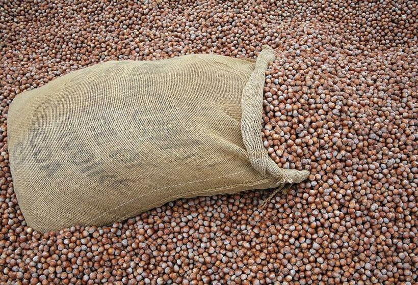 호텔 Agriturismo Cascina Barin