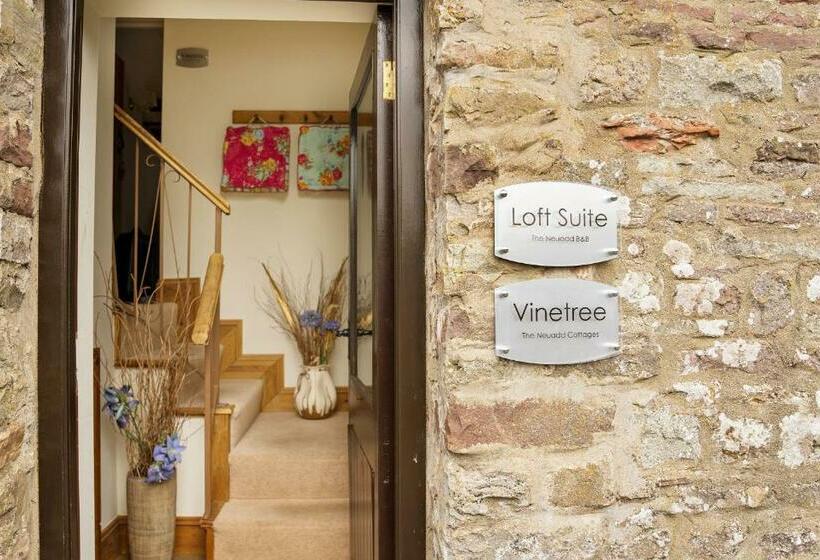 Neuadd B&b Suites