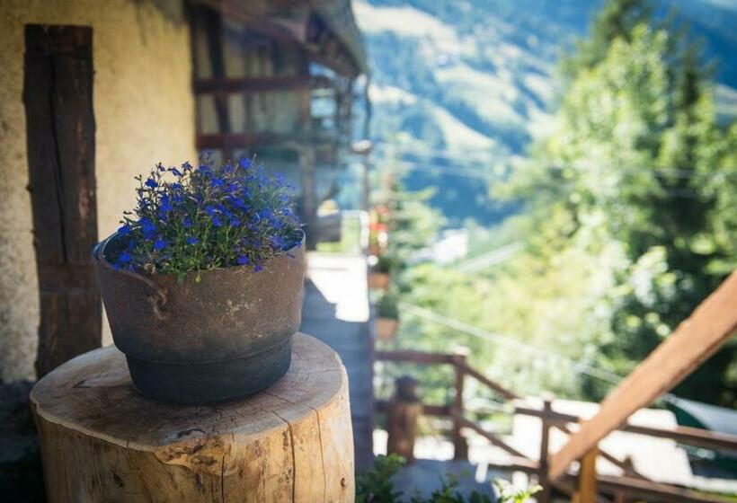 بنسيون Lous Escartoun