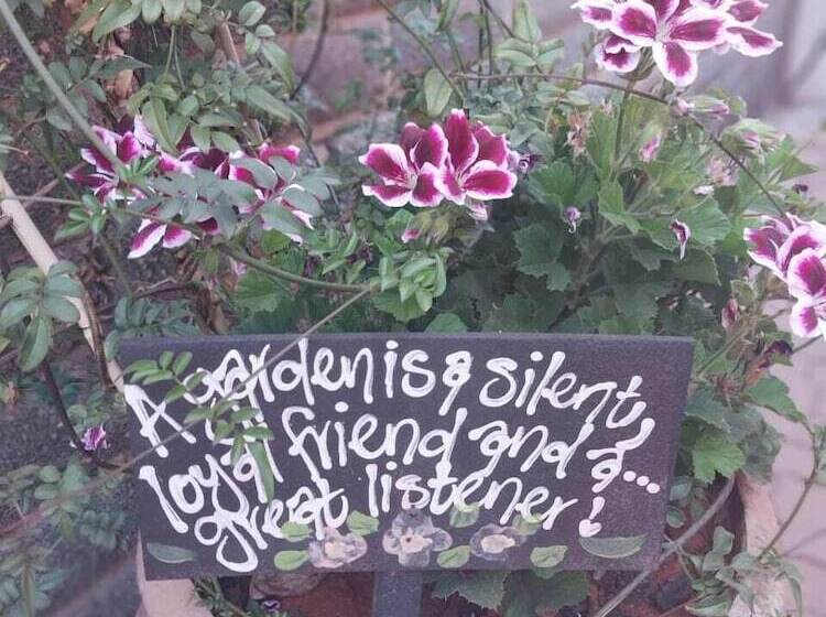 پانسیون Wisteria Lane Guesthouse