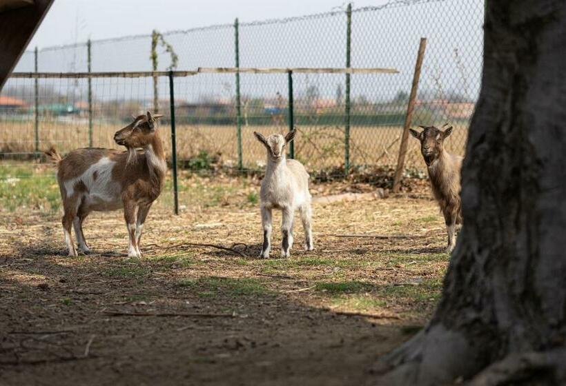민박 Cascina Cattabreghetta