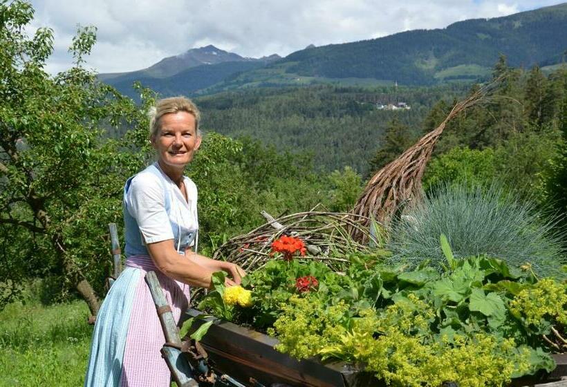 Bed and Breakfast Falkenau