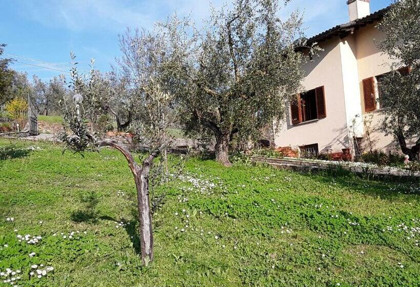 住宿加早餐  La Collina Degli Olivi