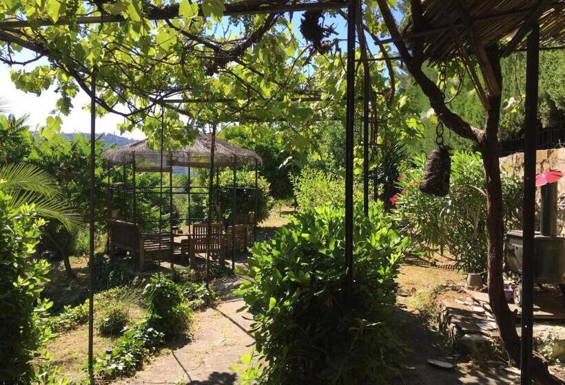 Bed & Breakfast Chambres D Hôtes Cottage Bellevue