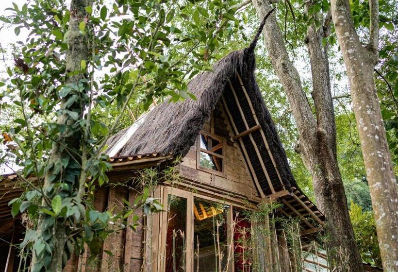 هتل Bambu Indah