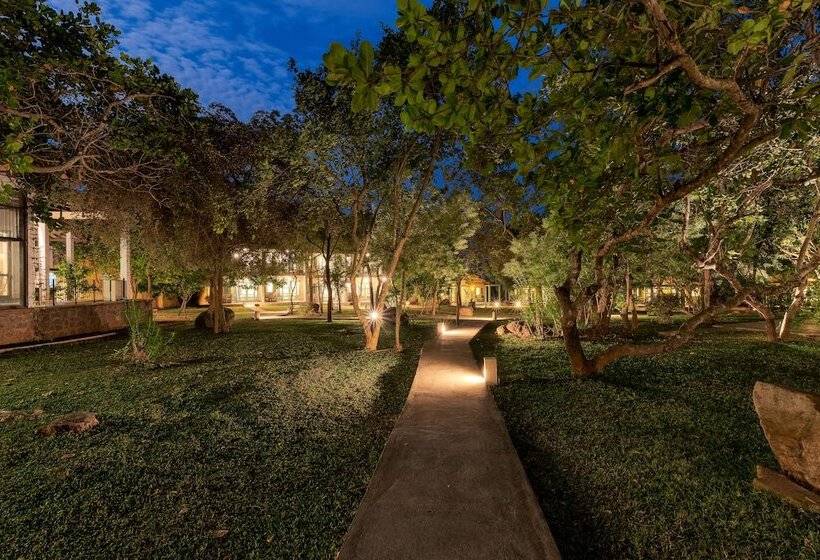 Fotos del hotel Elephant Reach:  35