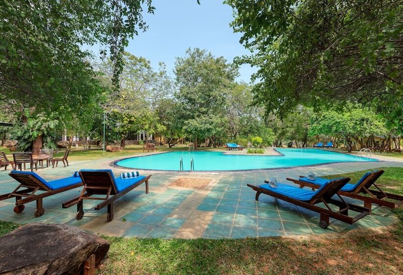 Fotos del hotel Elephant Reach:  38