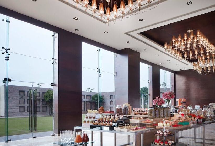 Fotos del hotel Jaipur Marriott:  21