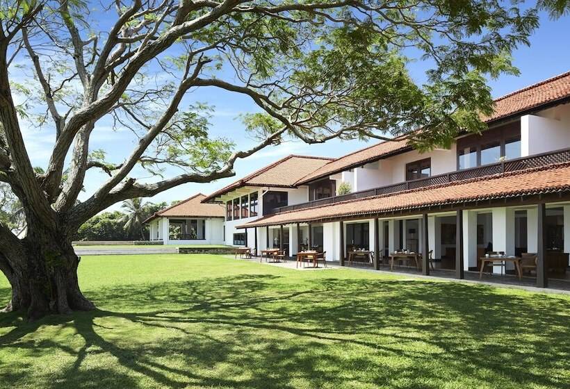 Hotel Jetwing Lagoon   Newly Renovated
