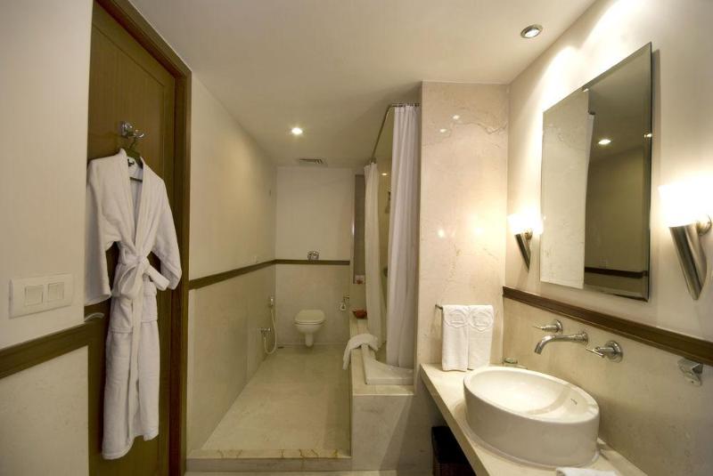 Fotos del hotel Vedic Village Spa Resort:  9