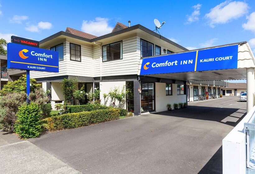 モーテル Comfort Inn Kauri Court