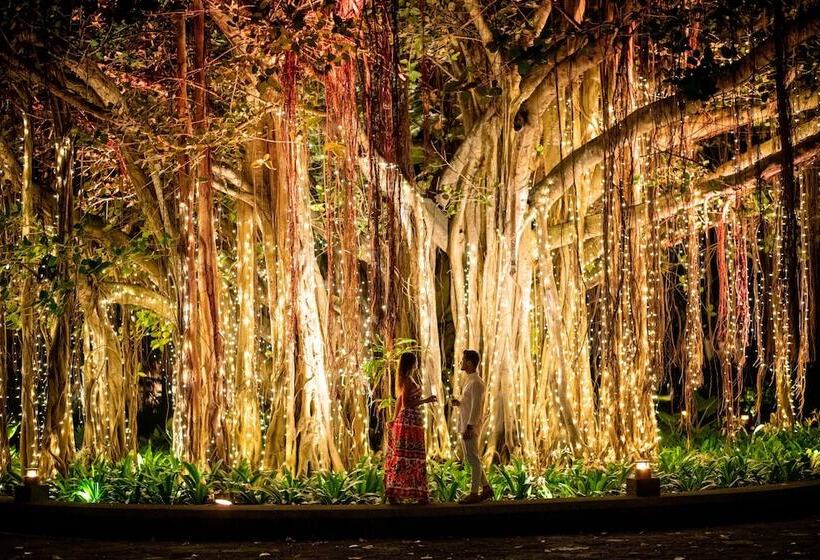 استراحتگاه Shangrila Le Touessrok, Mauritius
