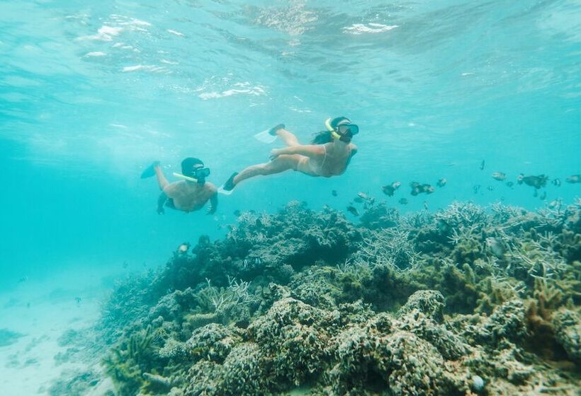 استراحتگاه Shangrila Le Touessrok, Mauritius
