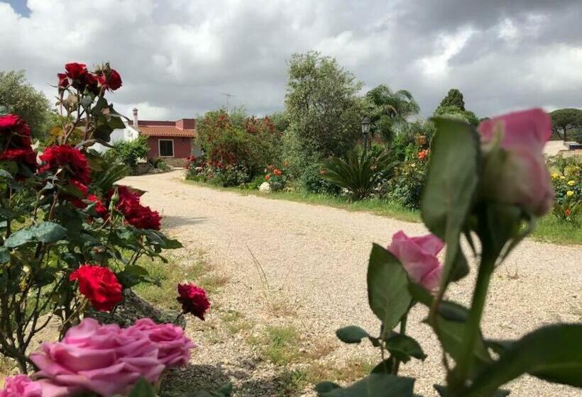 Bed and Breakfast Curti Russi