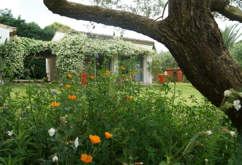 住宿加早餐  Studio Au Coeur De La Petite Camargue
