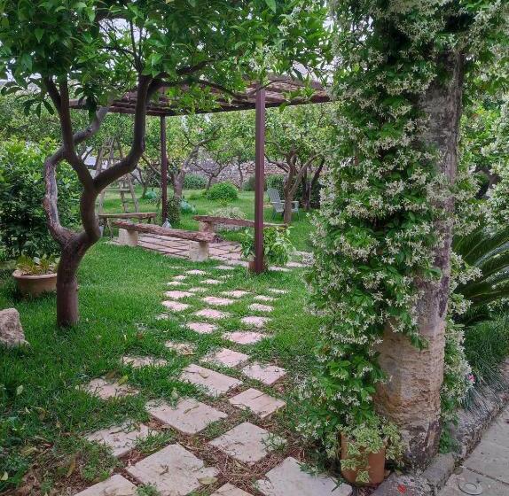 膳宿费 Corte Piri