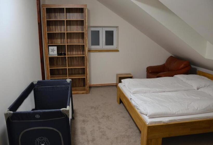 Пансион Apartments Villa Viola
