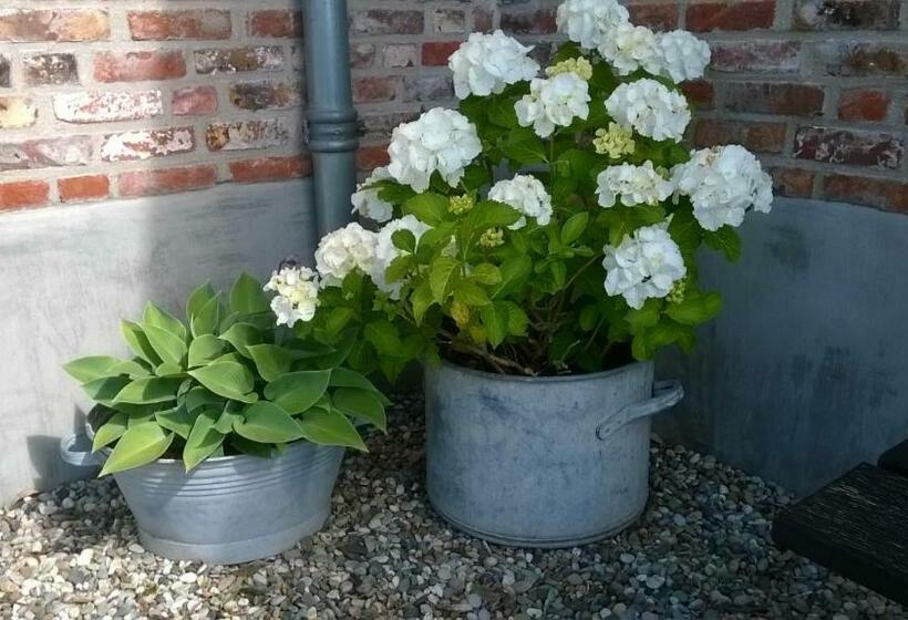 ベッドアンドブレックファースト Het Zeeuwsverblijf