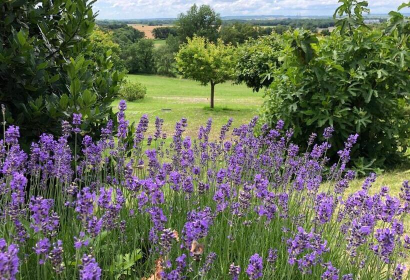 تختخواب و صبحانه La Ferme Buissonnière