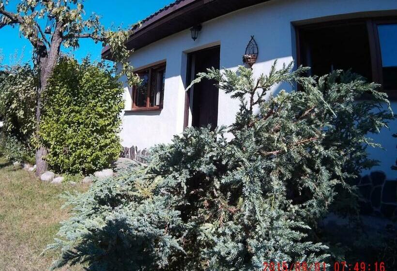 Bed & Breakfast Mikulas Guest House