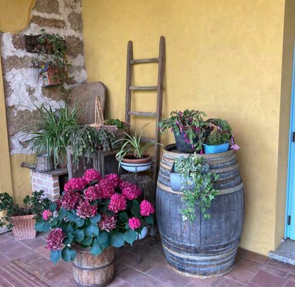호텔 Agriturismo Is Conchisceddas