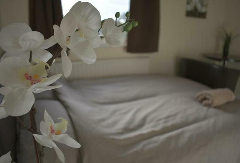 بنسيون Home And A Stay