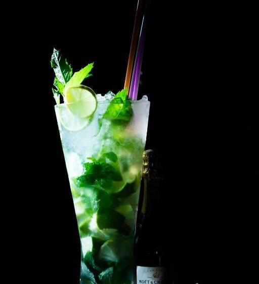 پانسیون šnekolend