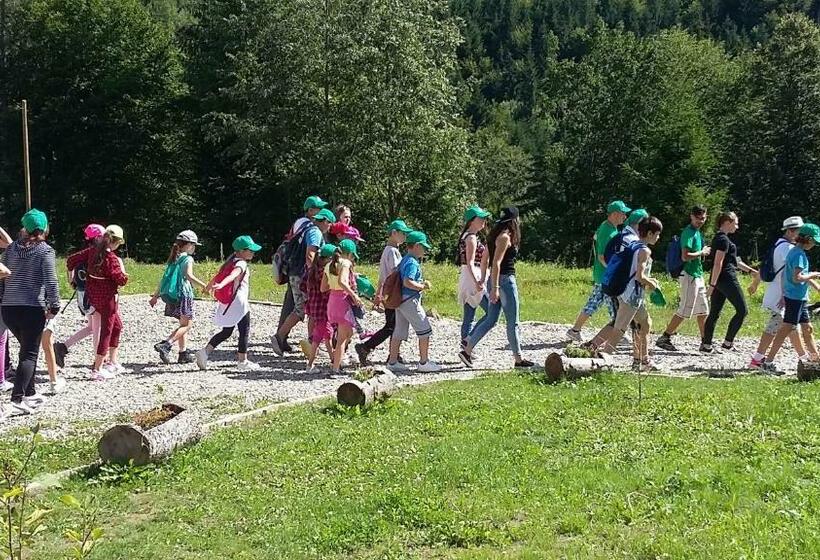 Pensiunea Poiana Soarelui