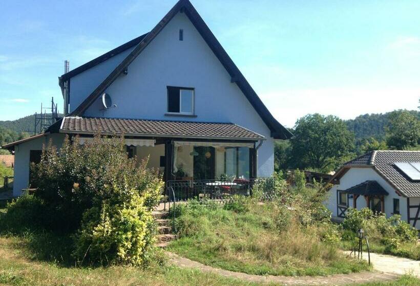 Bed and Breakfast Au Numéro 6