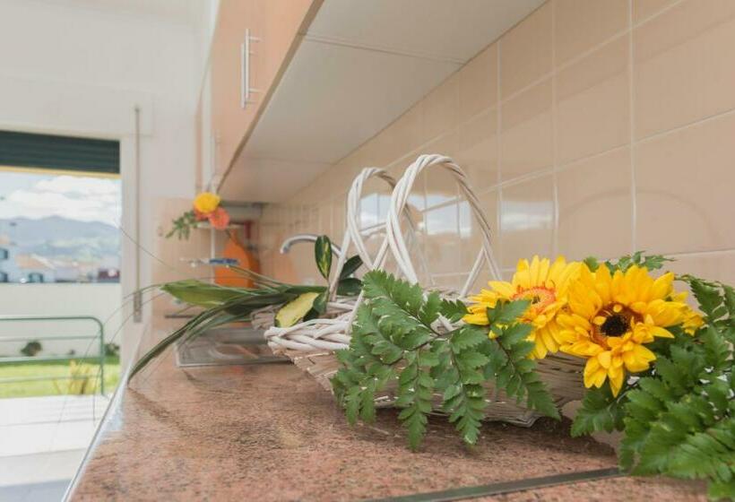پانسیون Areal De Santa Bárbara Guest House