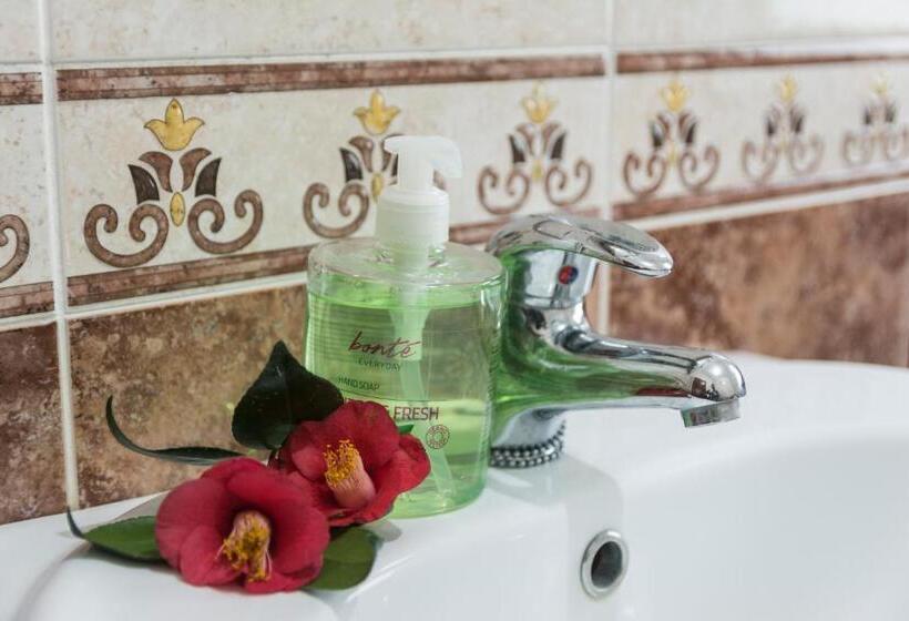 پانسیون Areal De Santa Bárbara Guest House