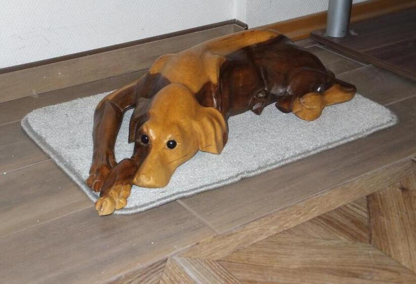 פנסיון Rezidence Jiskra